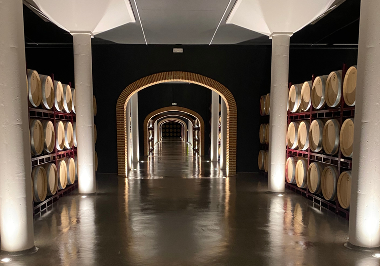 Interior de la bodega Carmelo Rodero en Pedrosa de Duero