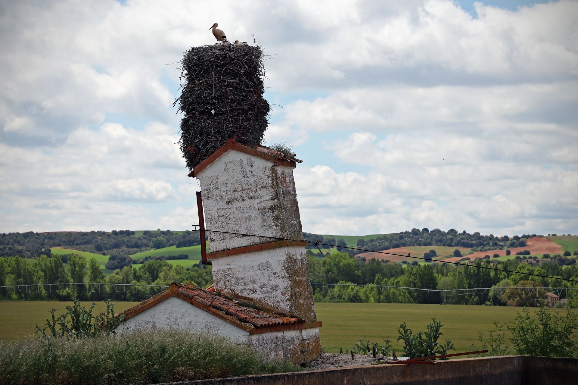 Así es el gigantesco y más famoso nido de cigüeña que está en Burgos sobre una torre inclinada
