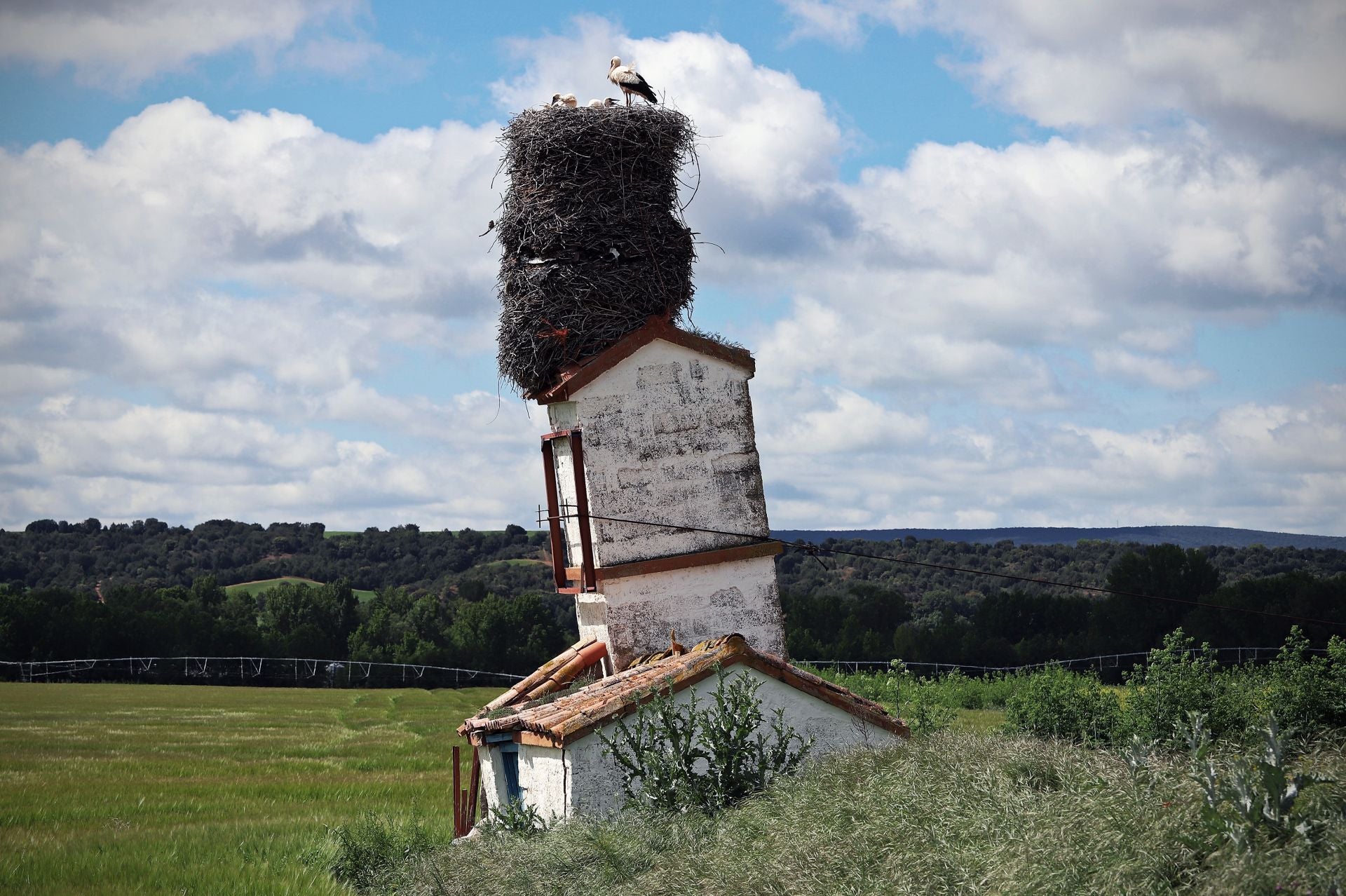 Así es el gigantesco y más famoso nido de cigüeña que está en Burgos sobre una torre inclinada