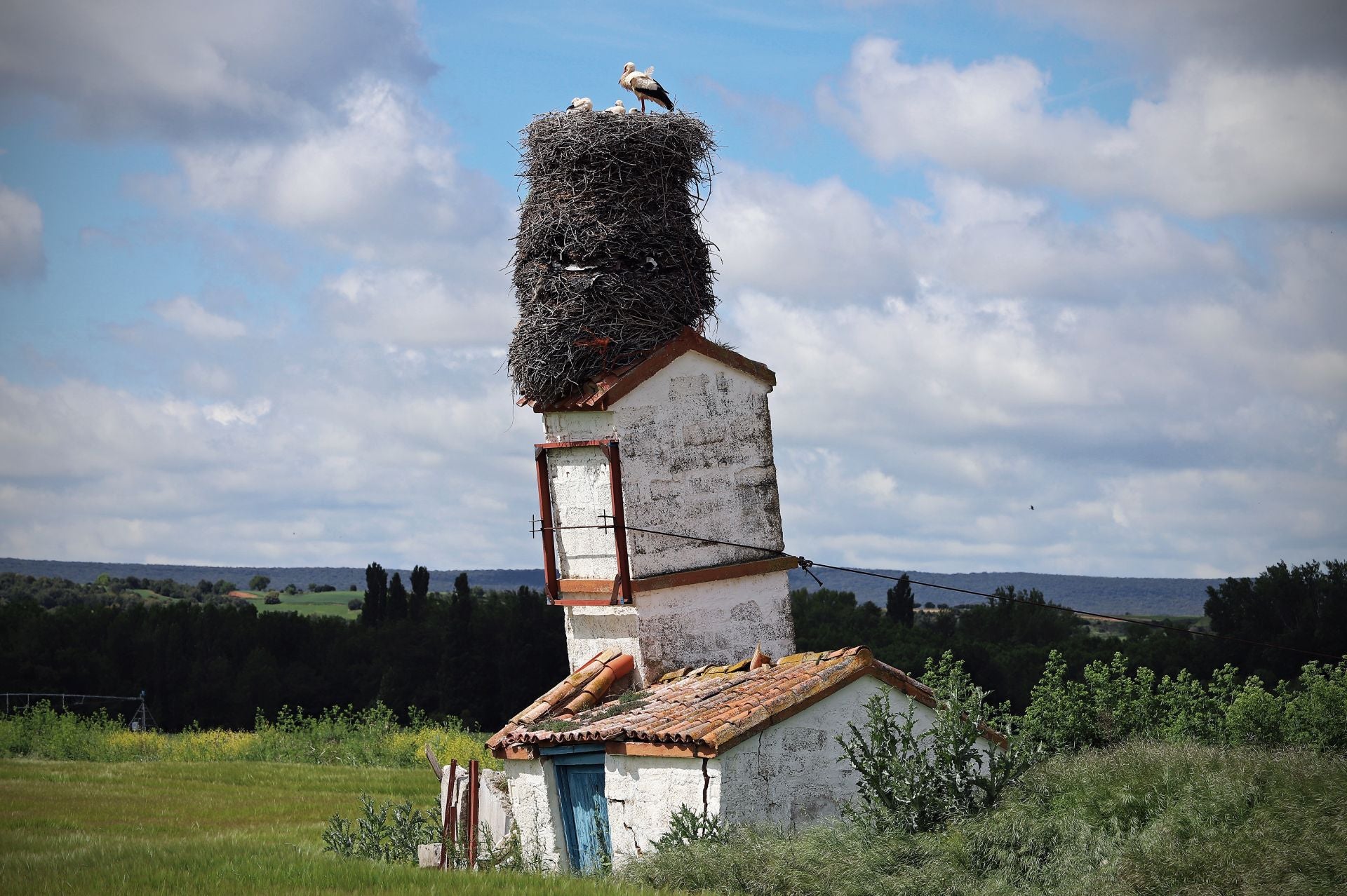 Así es el gigantesco y más famoso nido de cigüeña que está en Burgos sobre una torre inclinada