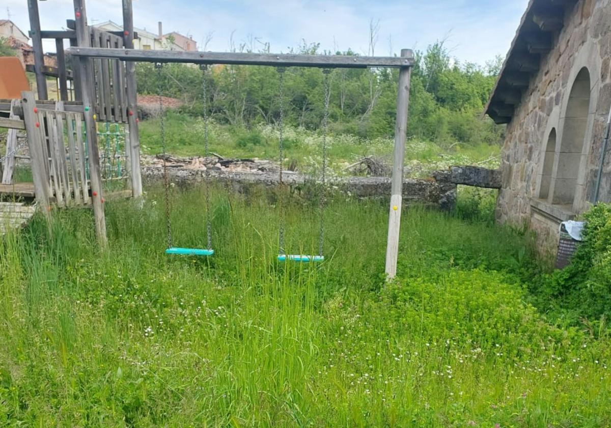 Imagen principal - Rincones de pueblos de Burgos con altas hierbas por el retraso en la contratación. 