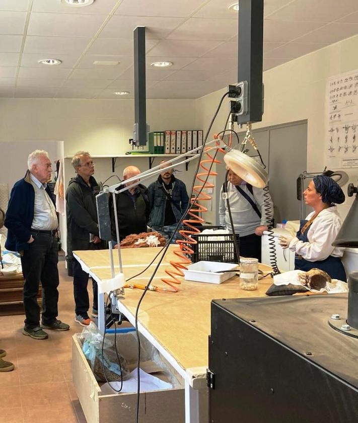 Imagen secundaria 2 - Arriba, participantes en el Congreso 'Las lenguas romances y los dinosaurios: una revolución en la ciencia'; abajo a la izda. muestra de fósiles y visita al laboratorio de restauración del Museo Dinosaurios.