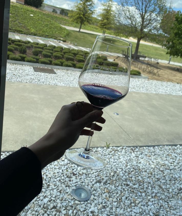 Imagen secundaria 2 - El método único en España para hacer vino que solo se aplica en una bodega de Burgos