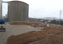 Azucarera de Miranda de Ebro, en plena campaña.