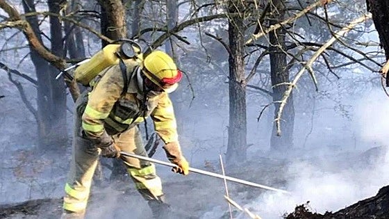 Invierten 1,4 millones para prevenir incendios y cuidar el monte en Oña