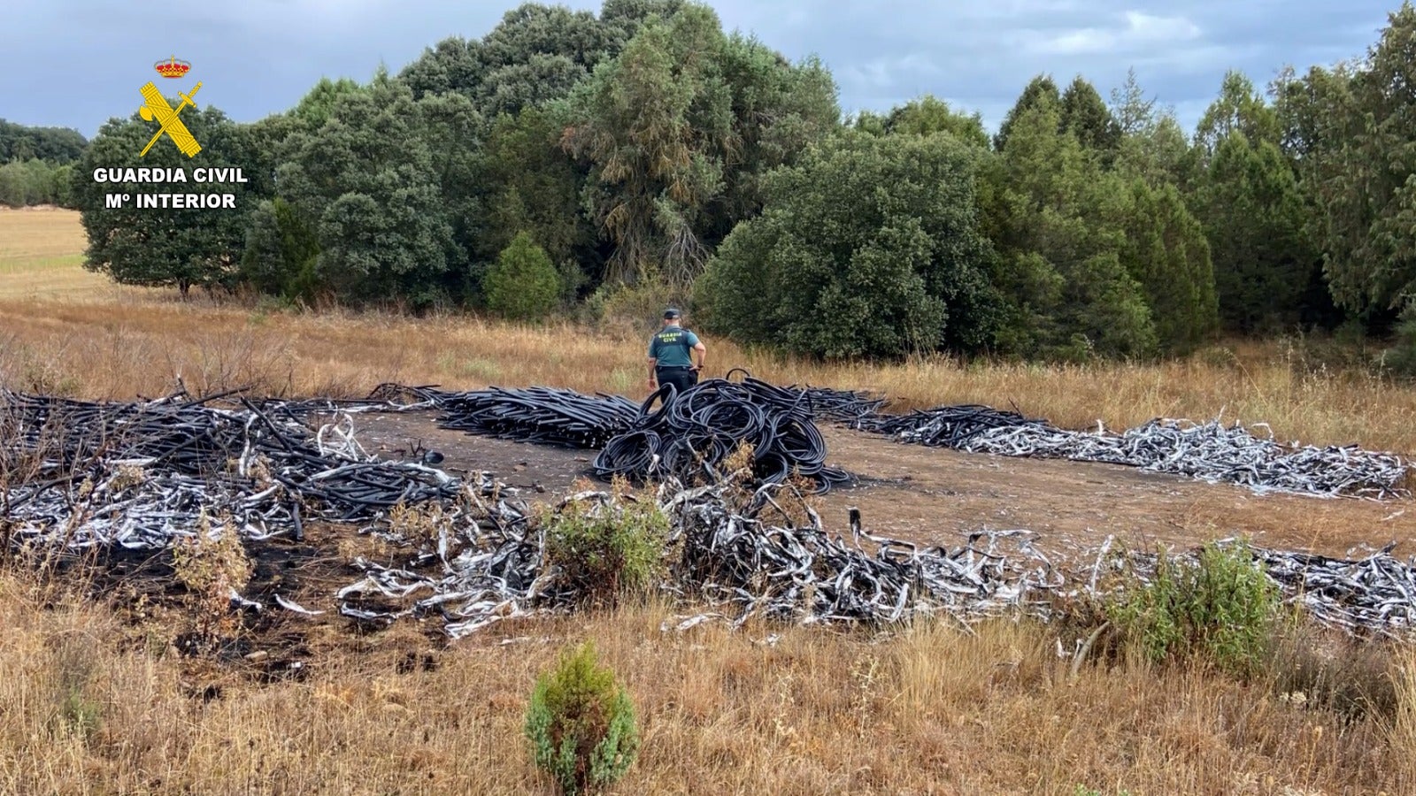 Desarticulan un grupo criminal dedicado al robo de cable de cobre