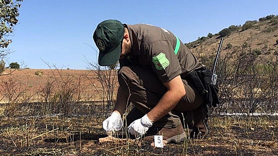Los agentes forestales rompen la negociación con la Junta por las «condiciones inasumibles» del operativo antiincendios