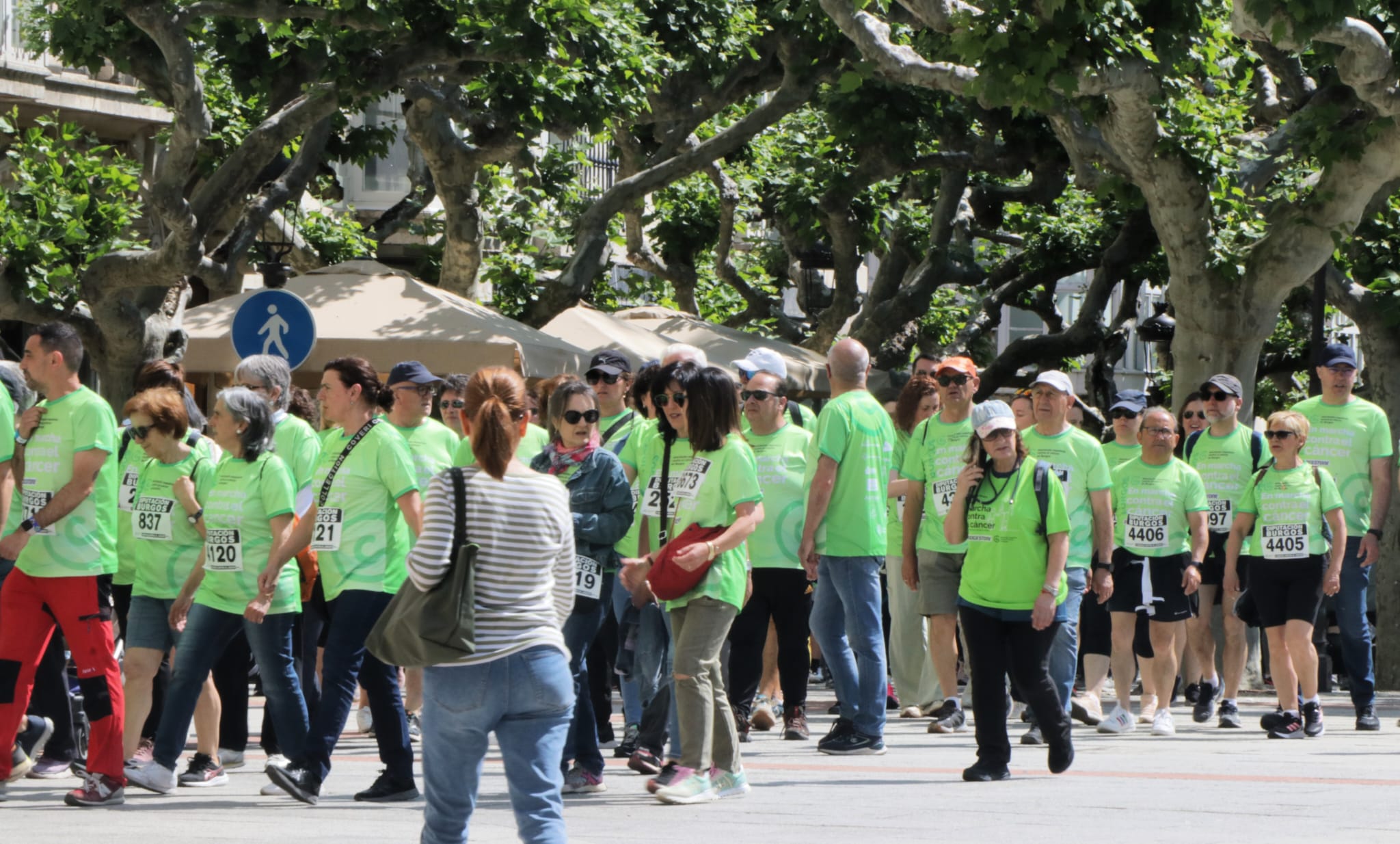 La marcha contra el cáncer de Burgos, en imágenes