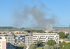 Columna de humo visible desde las viviendas cercanas al parque del Vena en Burgos.