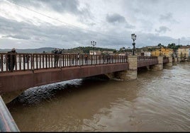 Imagen de archivo de una crecida del Ebro en Miranda.