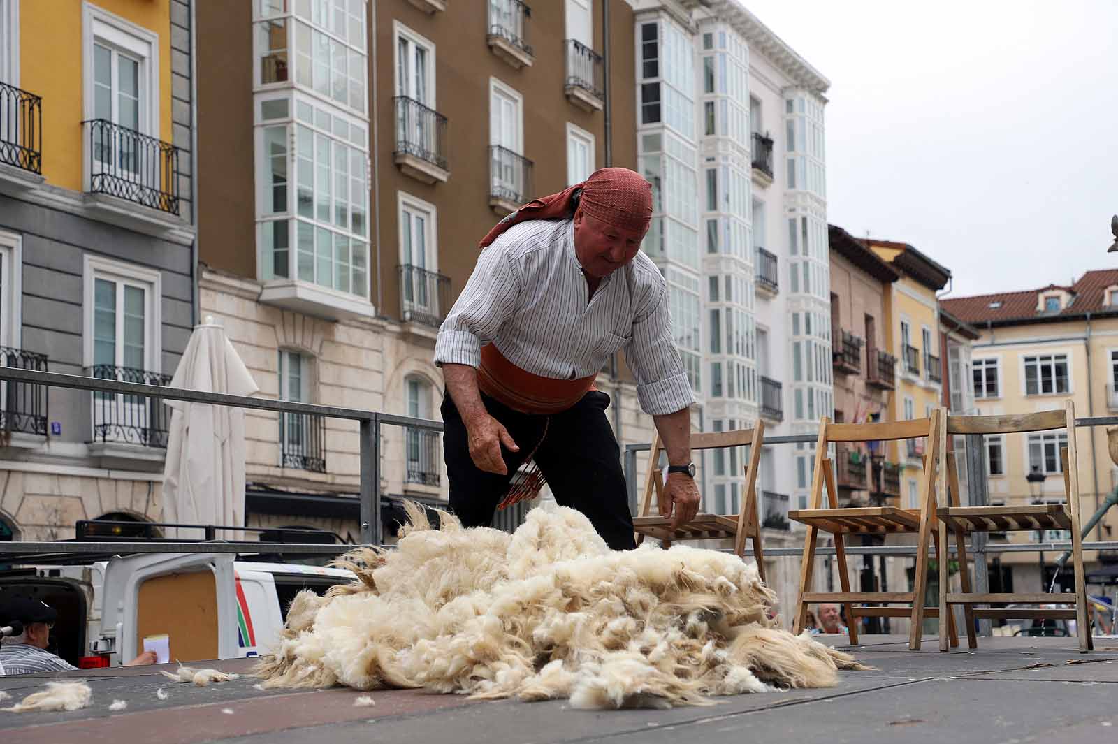 La fiesta del esquileo en Burgos, en imágenes