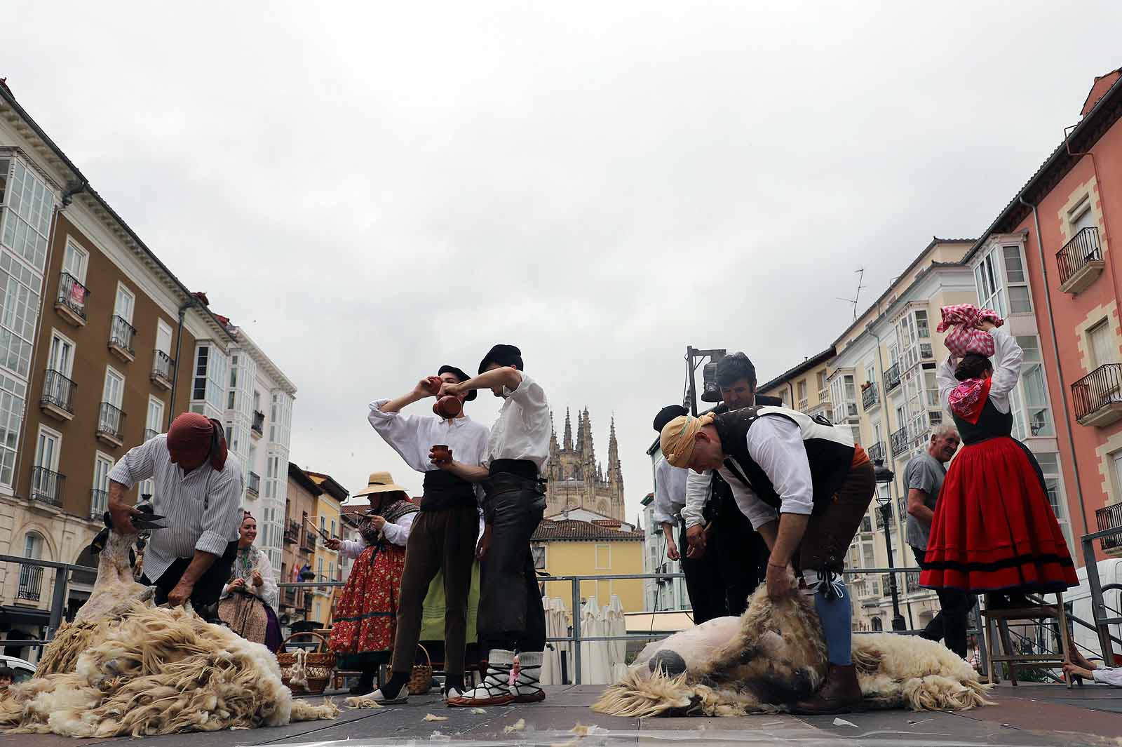 La fiesta del esquileo en Burgos, en imágenes