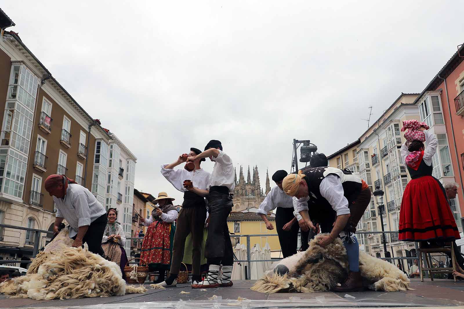 La fiesta del esquileo en Burgos, en imágenes