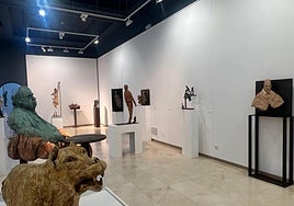 Exposición temporal 'José María Casanova. 50 años. 1974-2025. Un relato humano'.