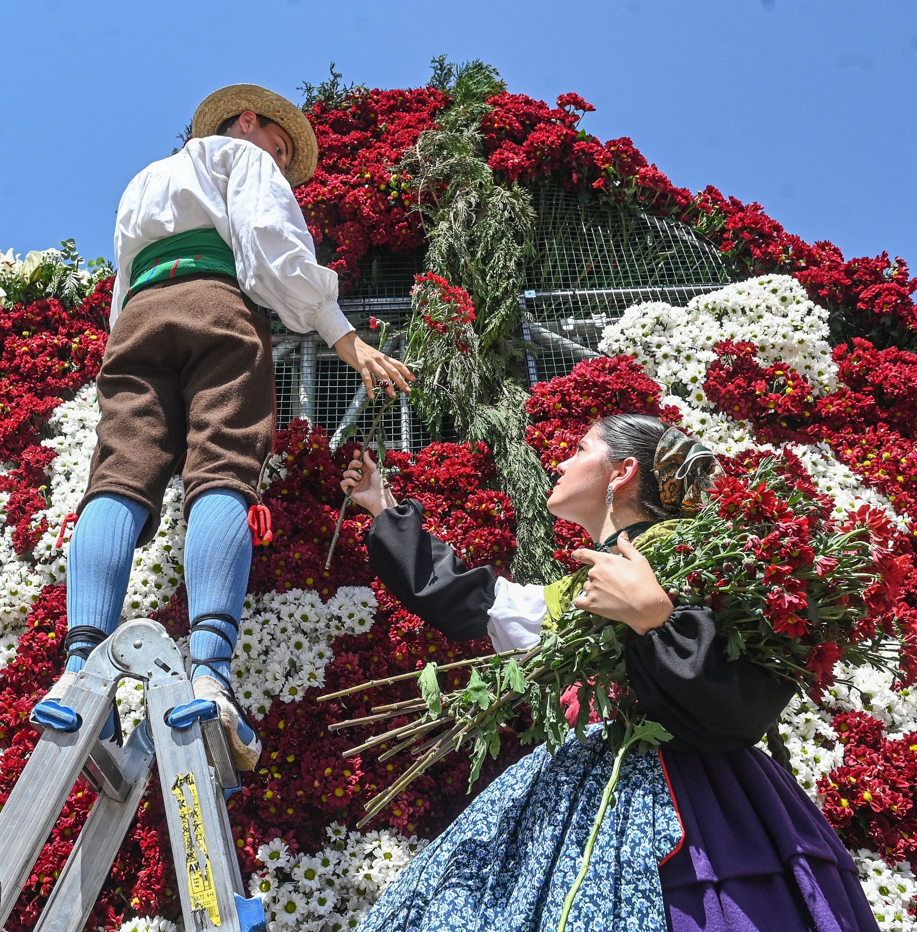 Flores, tradición y emoción: las imágenes de la Ofrenda Floral de los Sampedros 2025