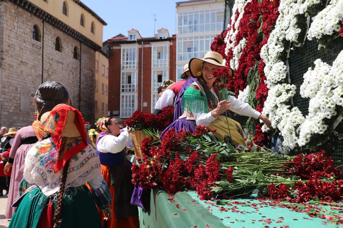Flores, tradición y emoción: las imágenes de la Ofrenda Floral de los Sampedros 2025