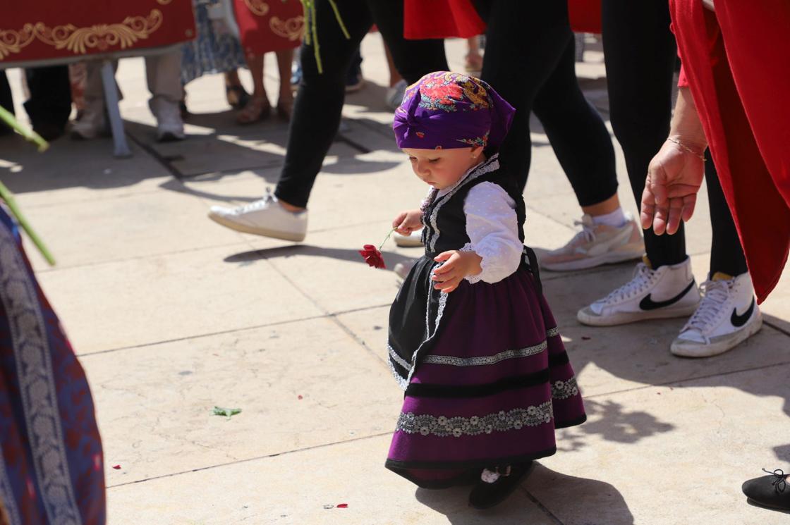 Flores, tradición y emoción: las imágenes de la Ofrenda Floral de los Sampedros 2025