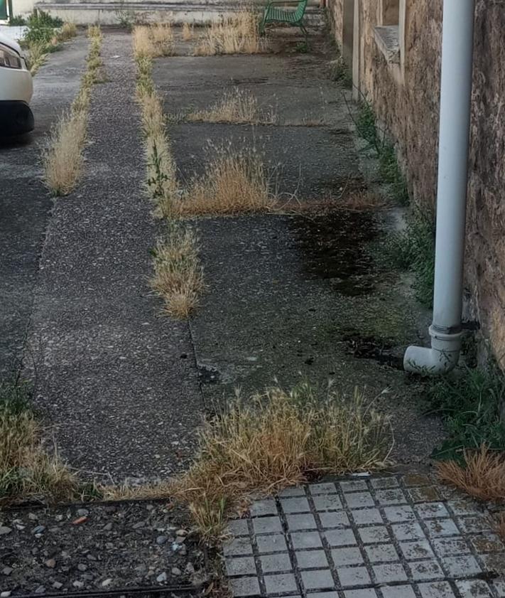 Imagen secundaria 2 - Estado de las aceras con hierbas y ausencia de baldosas, lo que dificulta la circulación de las sillas de ruedas por estas zonas. 