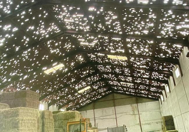 La tormenta generó numerosos daños materiales en la zona.