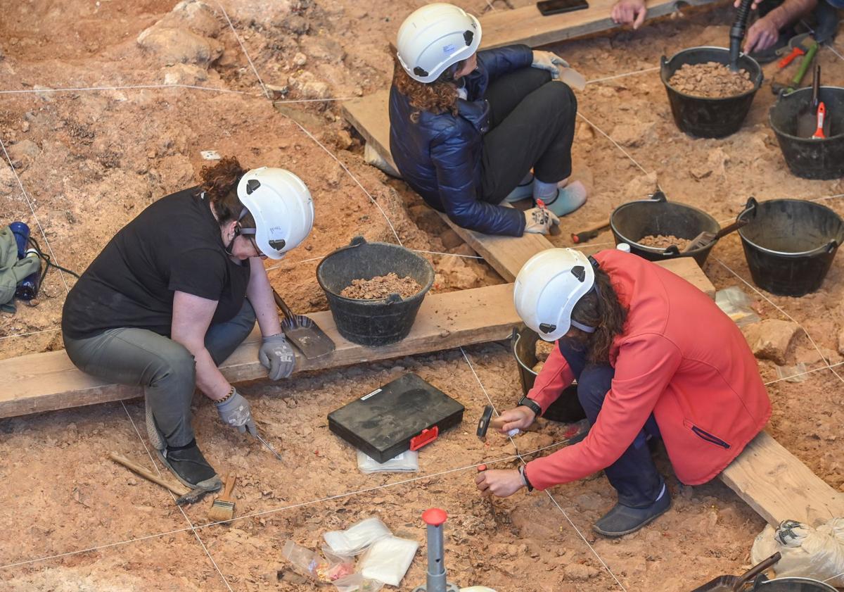 Imagen principal - Atapuerca arranca fuerte: fósiles humanos, herramientas y fauna confirman un pasado lleno de vida
