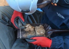 Imágenes de la campaña de excavaciones en Atapuerca.