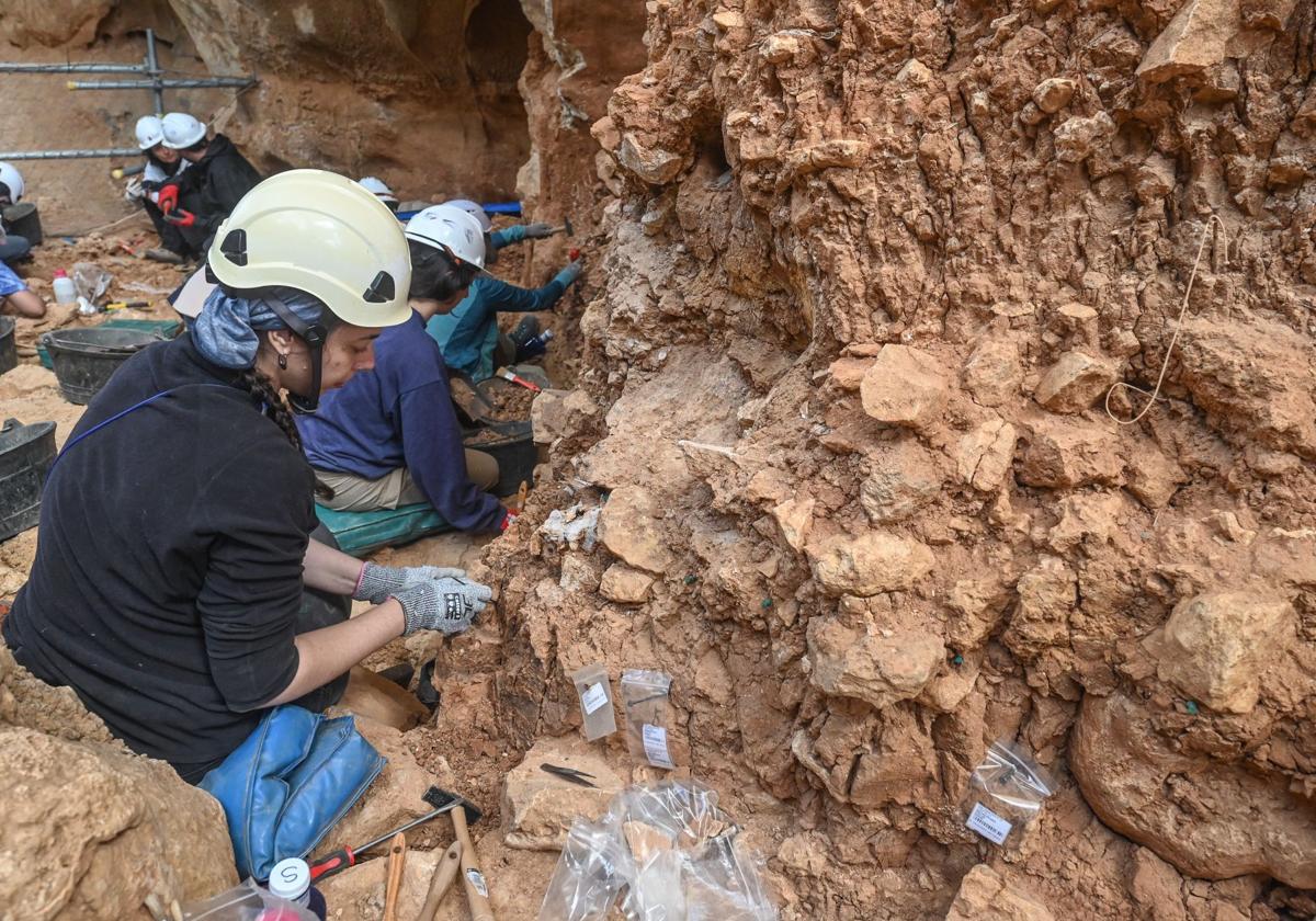 Imágenes de los trabajos en Atapuerca: una campaña de excavaciones que sigue haciendo historia