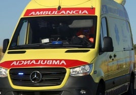 Dos niños y dos adultos resultaron heridos en un aparatoso accidente en Burgos.