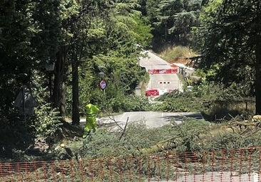 Arrancan las obras del puente de las Corazas con la tala de varios árboles y el corte de los accesos