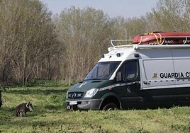 Imagen de archivo de un operativo de búsqueda de la Guardia Civil.
