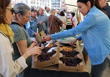 Las cerezas vuelven a conquistar Burgos este fin de semana