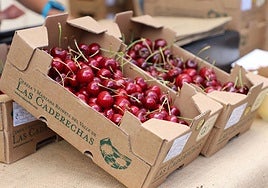 Cerezas del Valle de Caderechas, en Burgos.