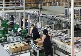 Trabajadoras de la empresa Liwe en la planta de Puente Tocinos.