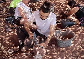 Imagen de archivo de las excavaciones paleontológicas cerca de Salas de los Infantes.
