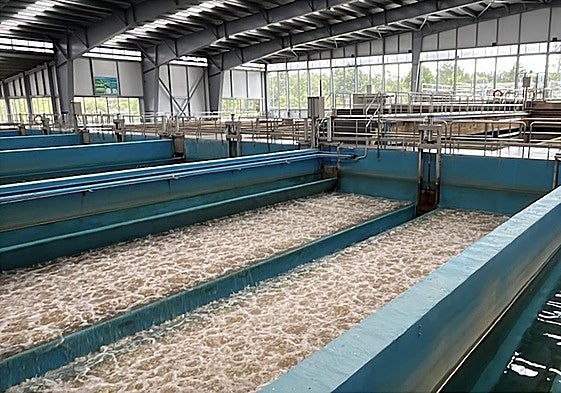 Piscinas de lavados de los filtros de arena.