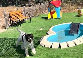 Centro Canino Las Cortes, en Burgos.