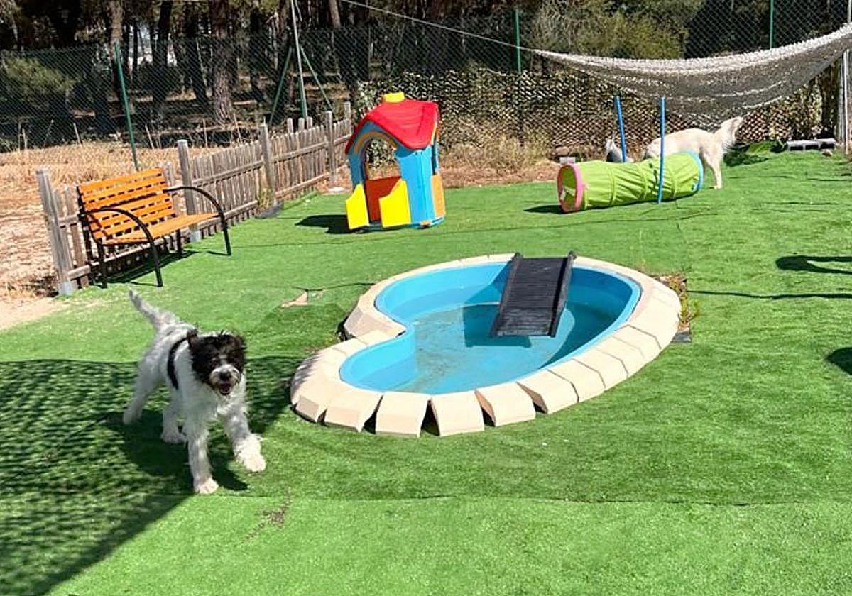 Centro Canino Las Cortes, en Burgos.