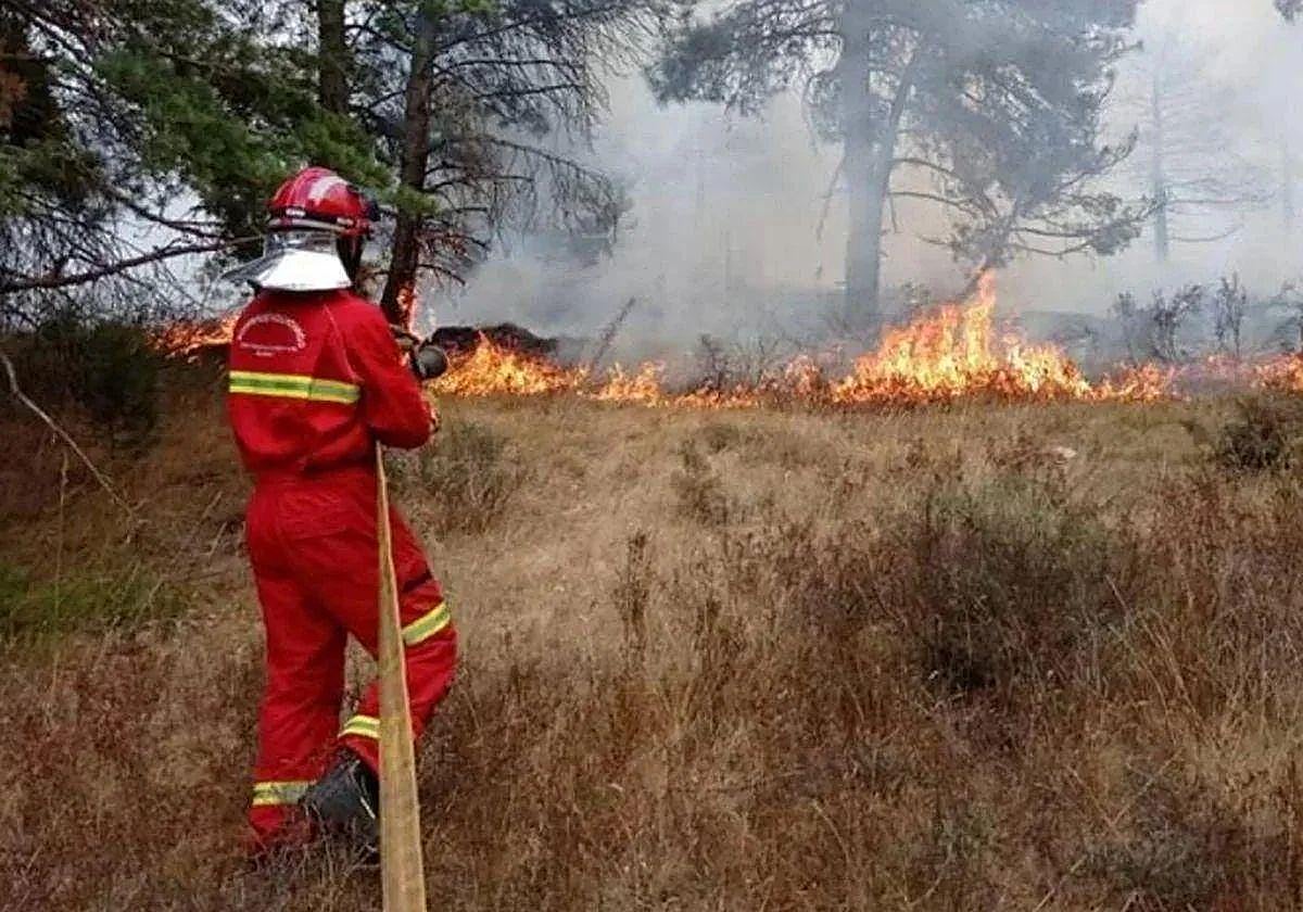 Imagen de archivo de un incendio forestal.