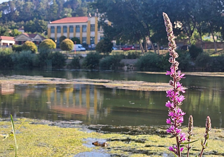 El vertido se encuentra a la altura de la desembocadura del Bayas en el Ebro