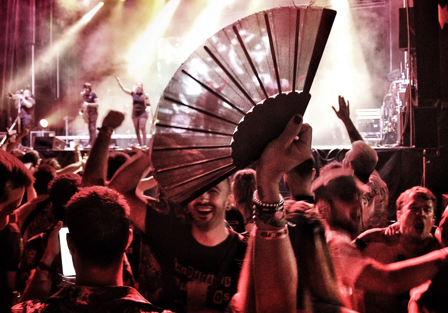 El Alpaka Fest en imágenes, el festival de música y resistencia rural de un pueblo de Burgos