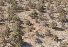 Imagen aérea de la ubicación del ciclista herido.