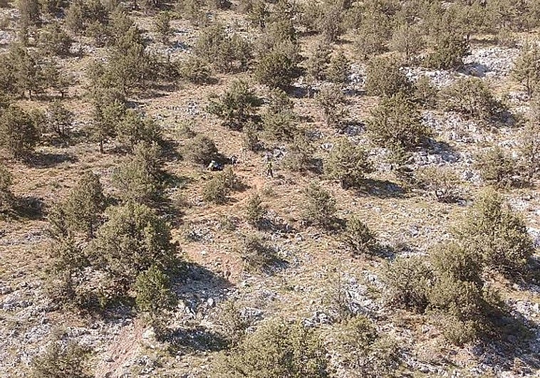 Imagen aérea de la ubicación del ciclista herido.