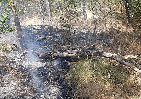 Detalle del último incendio, del día 4 de agosto, en el cerro del Castillo.