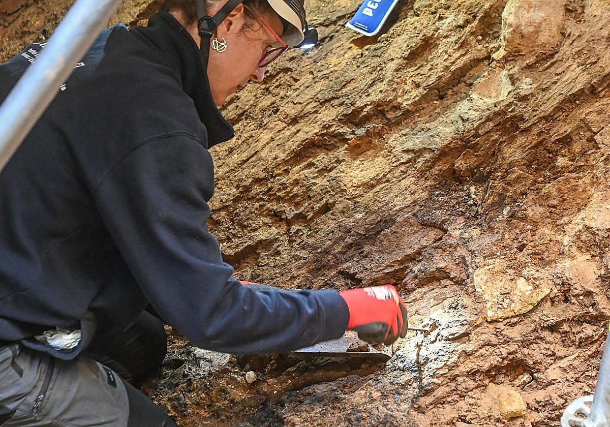 Excavaciones durante la campaña de Atapuerca del verano de 2025.