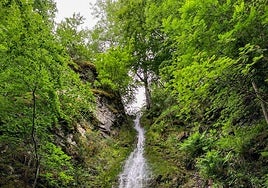 Imagen de una de las caidas de agua en la Senda de las Cascadas.