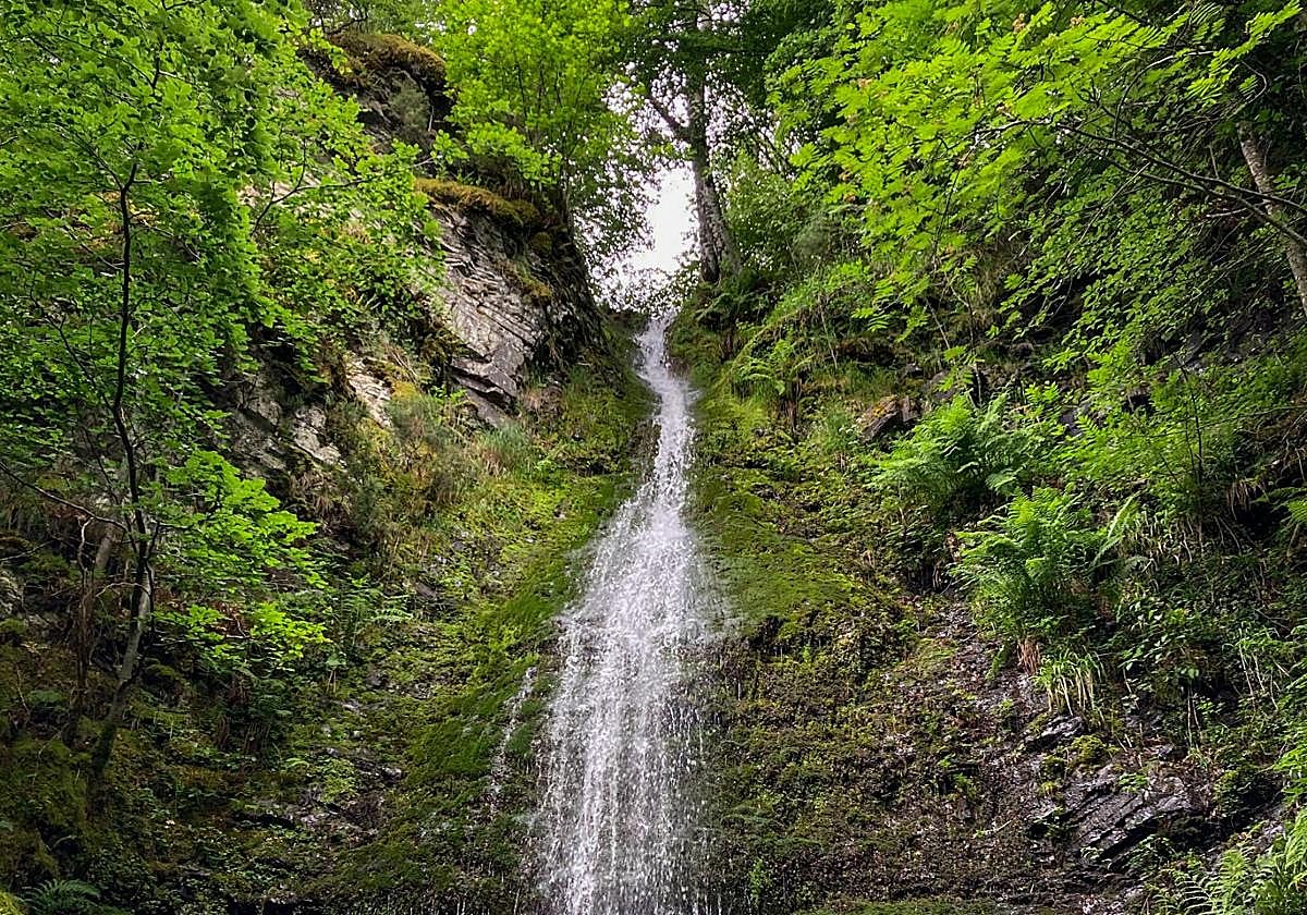 Imagen de una de las caidas de agua en la Senda de las Cascadas.