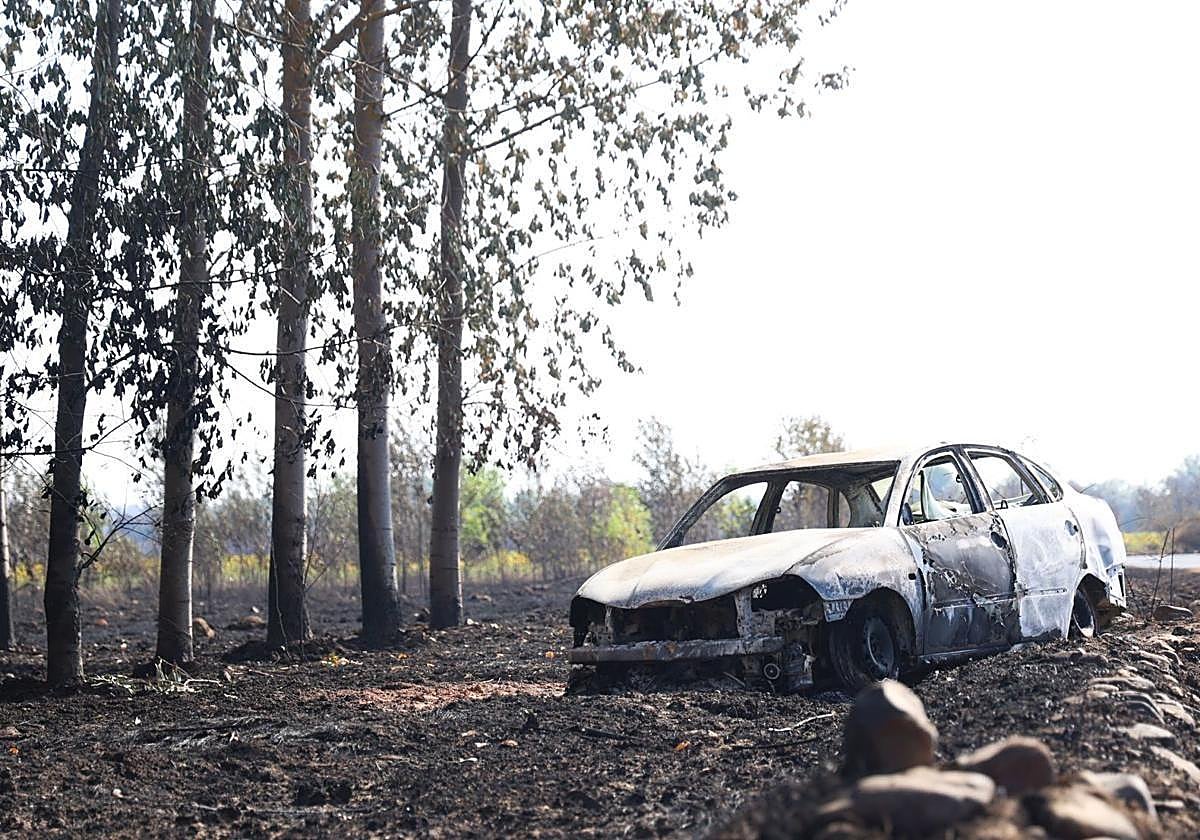 Un vehículo quemado en el término de Palacios de Jamuz.