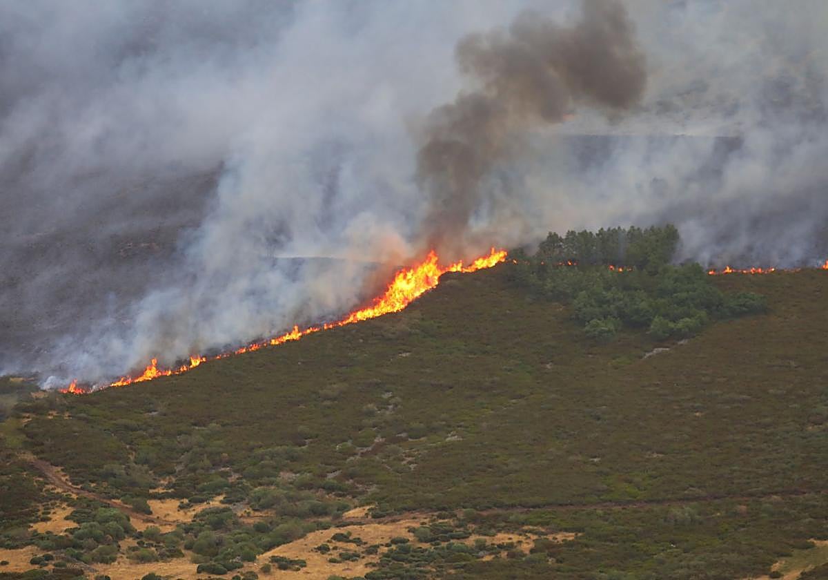 Incendio cerca de Peña Carazo, en la Montaña Palentina.