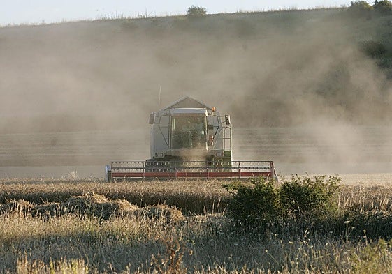Un agricultor trabaja con su cosechadora en un campo.