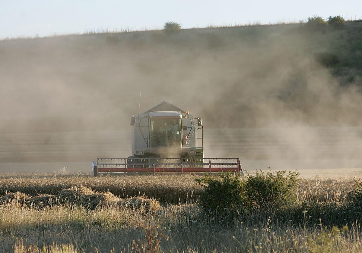 Un agricultor trabaja con su cosechadora en un campo.
