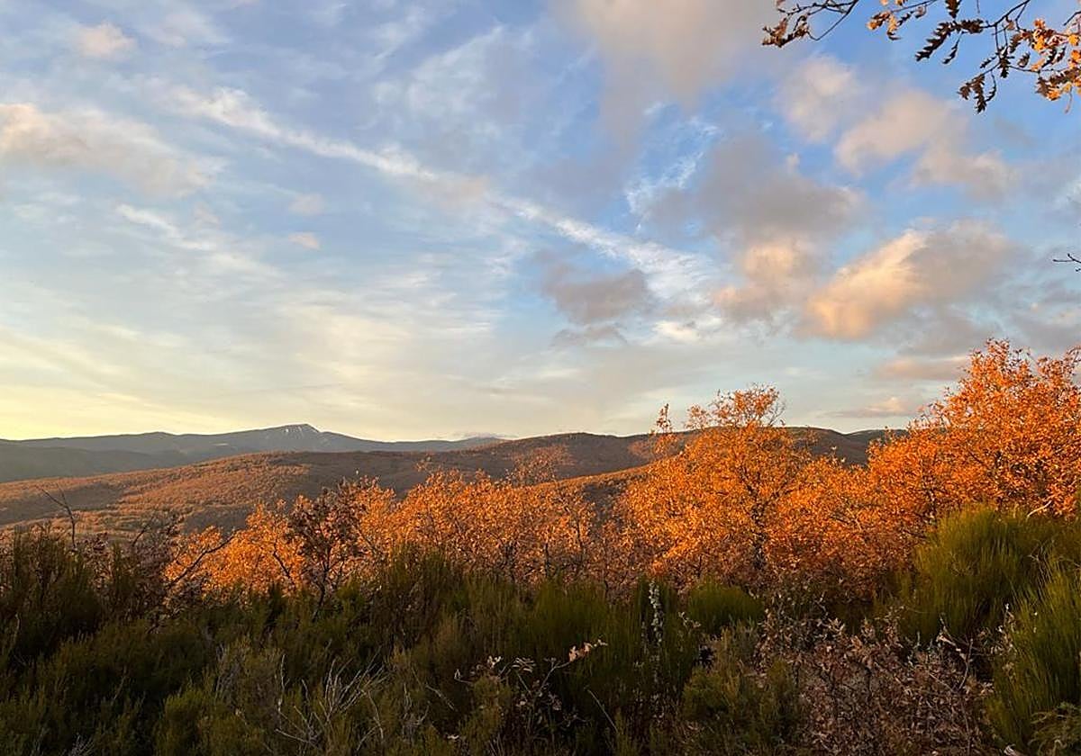 Vistas de un monte de la provincia de Burgos.